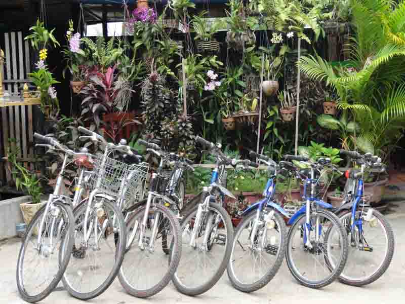 Green Park Guesthouse Bike